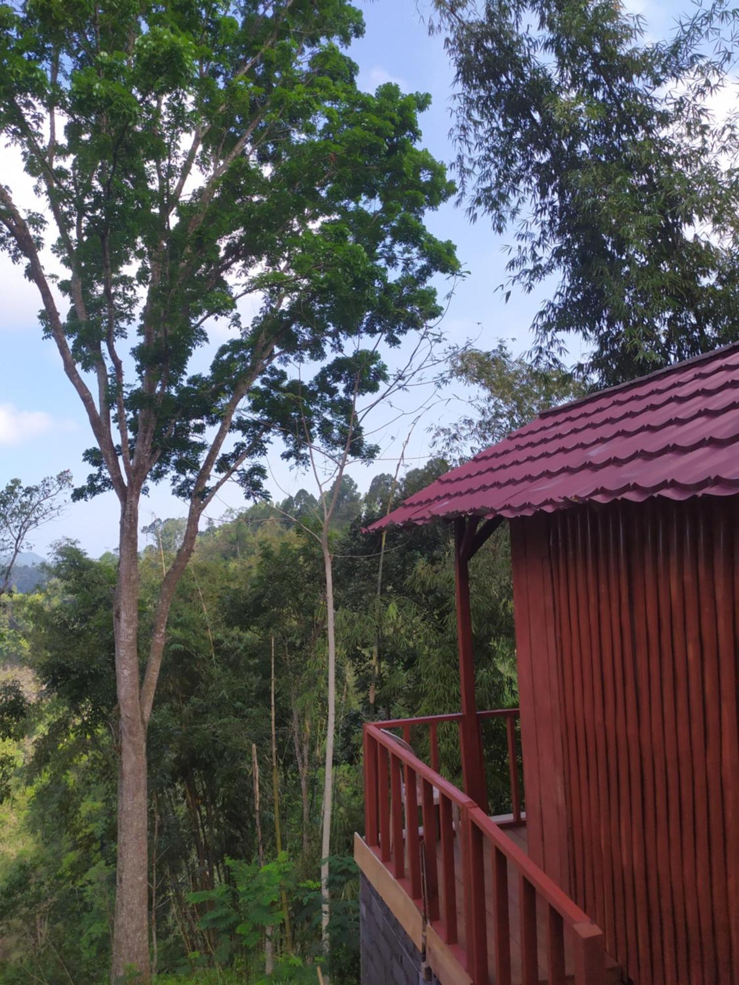 Happy Monkeys Village Sidomukti Екстер'єр фото
